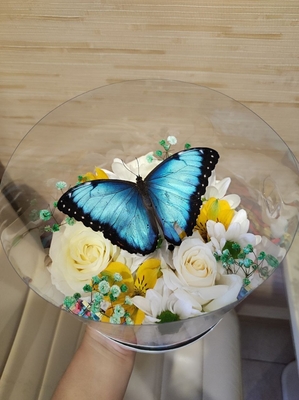 Выставка тропических бабочек и авторские мастер‑классы со скидкой до 28%