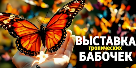 Выставка тропических бабочек и авторские мастер‑классы со скидкой до 28%