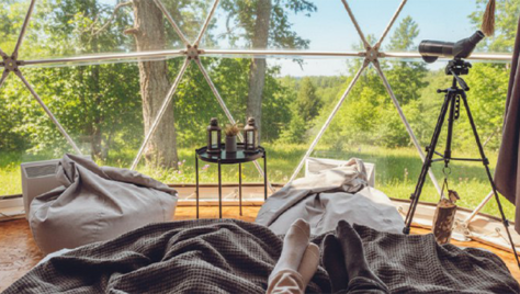 Скидка 50% на уютный отдых на базе отдыха «Гнездовье»!